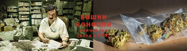 прущие грибы Беломорск