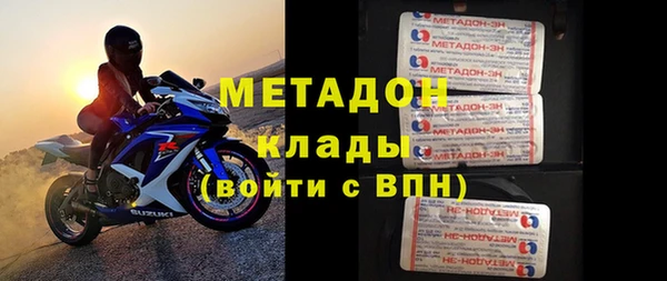 прущие грибы Беломорск