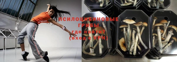 прущий лед Белокуриха