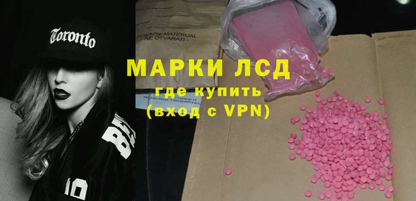 прущие грибы Беломорск