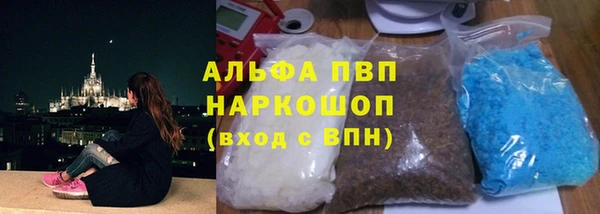 прущие грибы Беломорск