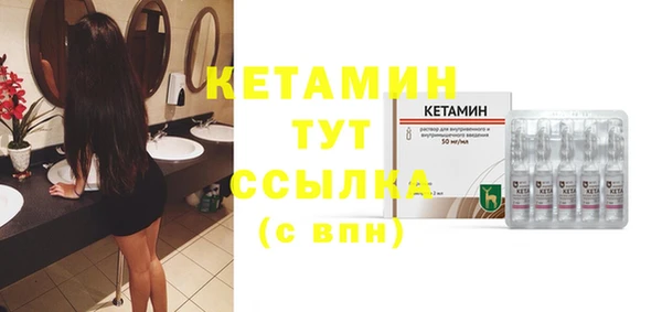 прущие грибы Беломорск