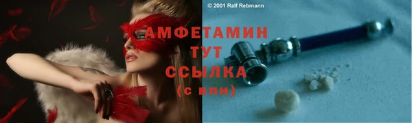 прущие грибы Беломорск