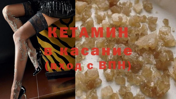 прущие грибы Беломорск