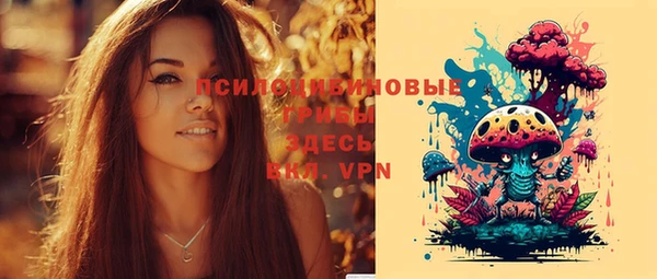 прущие грибы Беломорск